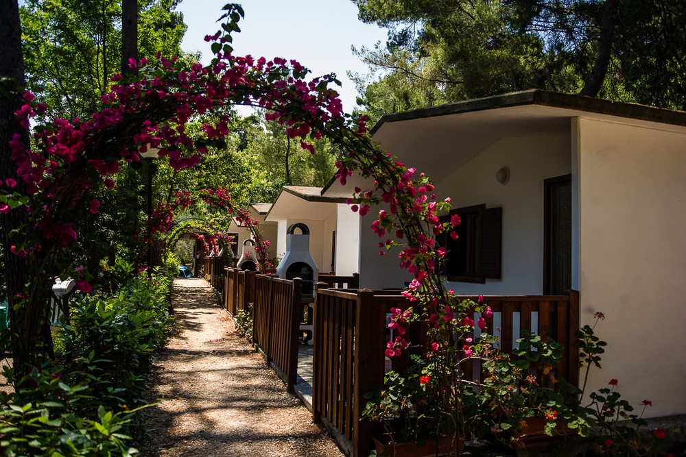 Camping Village Internazionale